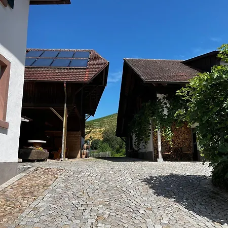 Roserhof Konukevi Gengenbach
